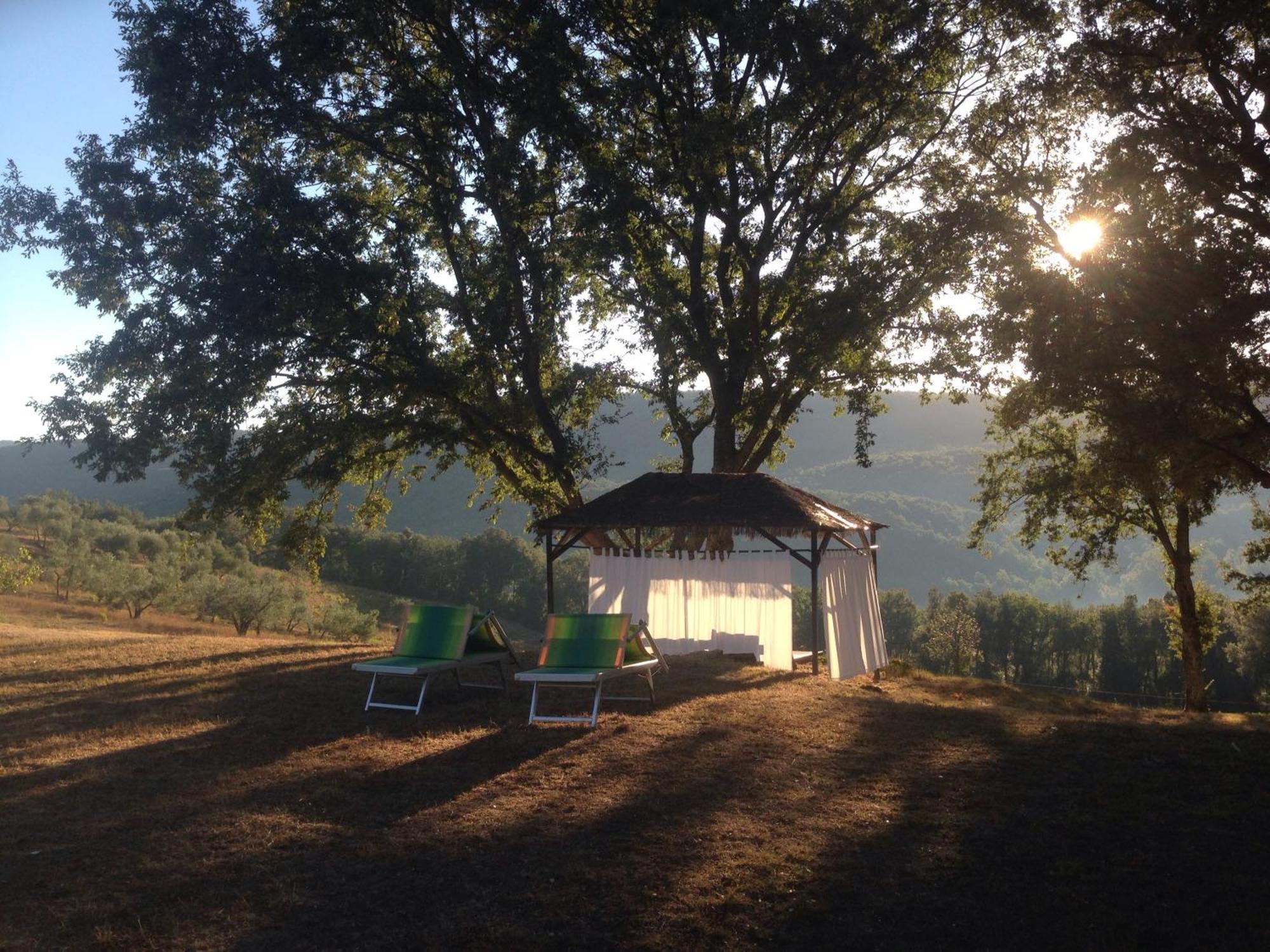 Agriturismo Colle Donatucci ξενώνας Castagneto Carducci Εξωτερικό φωτογραφία