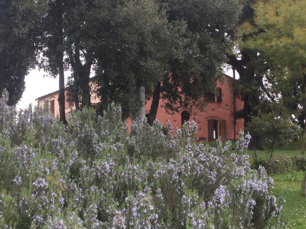 Agriturismo Colle Donatucci ξενώνας Castagneto Carducci Εξωτερικό φωτογραφία