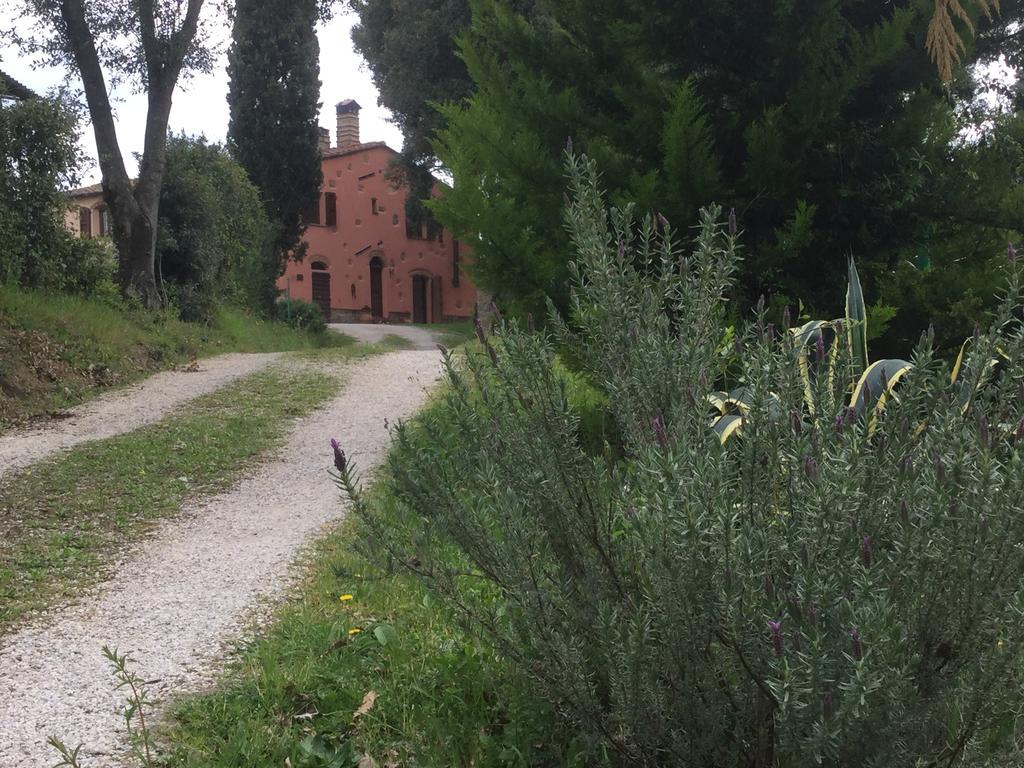 Agriturismo Colle Donatucci ξενώνας Castagneto Carducci Εξωτερικό φωτογραφία