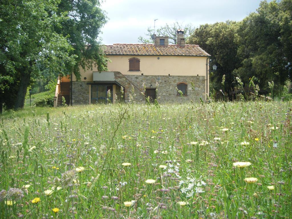 Agriturismo Colle Donatucci ξενώνας Castagneto Carducci Εξωτερικό φωτογραφία